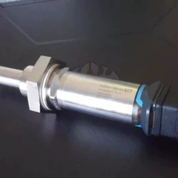 Endress+Hauser Tuning Fork Level Sensor FTL31-11V0/0