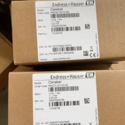 Endress+Hauser PMC21-2VT3/125 Pressure Transmitter