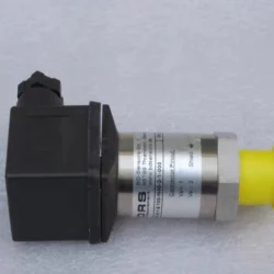 Industrial Pressure Switch BD 30.600G-1601-R-1-8-100-N40-2-1-000