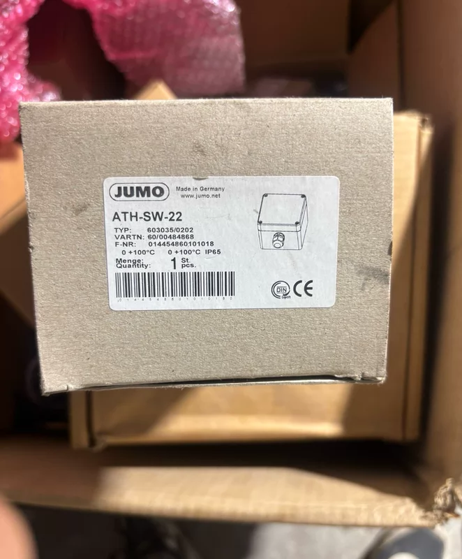 Temperature Limiter Switch JUMO ATH-SW-22 603035/0202 Monitor
