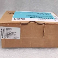 Pneumatic Control Valve BUSCHJOST BO1800703 10024219 Series