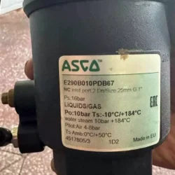 Precision Angle Seat Valve ASCO E290B010PDB67 for Steam & Liquid