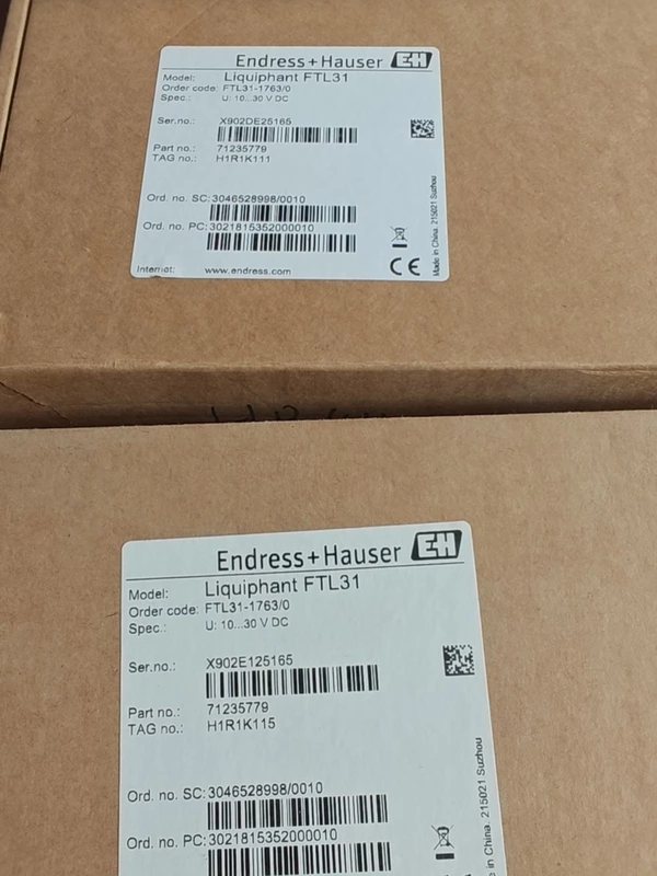 Vibrating Fork Level Switch Endress+Hauser FTL31-1763/0