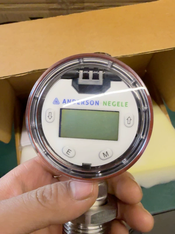 ANDERSON-NEGELE L3S616010 Sensor for Hygienic Processes