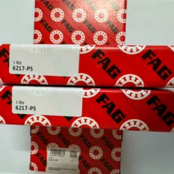Industrial Motors and Pumps: FAG 6217-P5 Bearing Solution