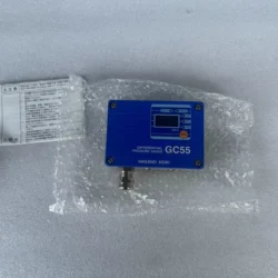 Process Monitoring with NAGANO KEIKI GC55 Pressure Gauge